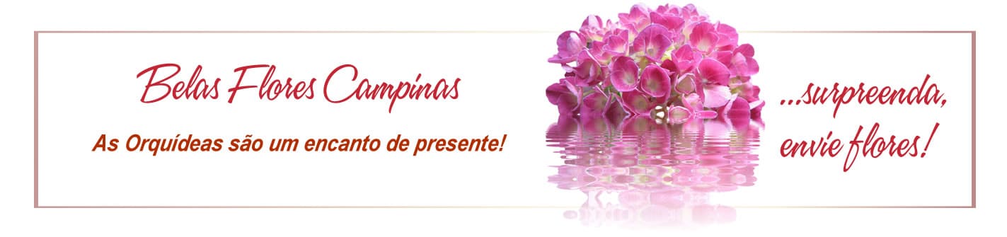 Belas Flores Campinas